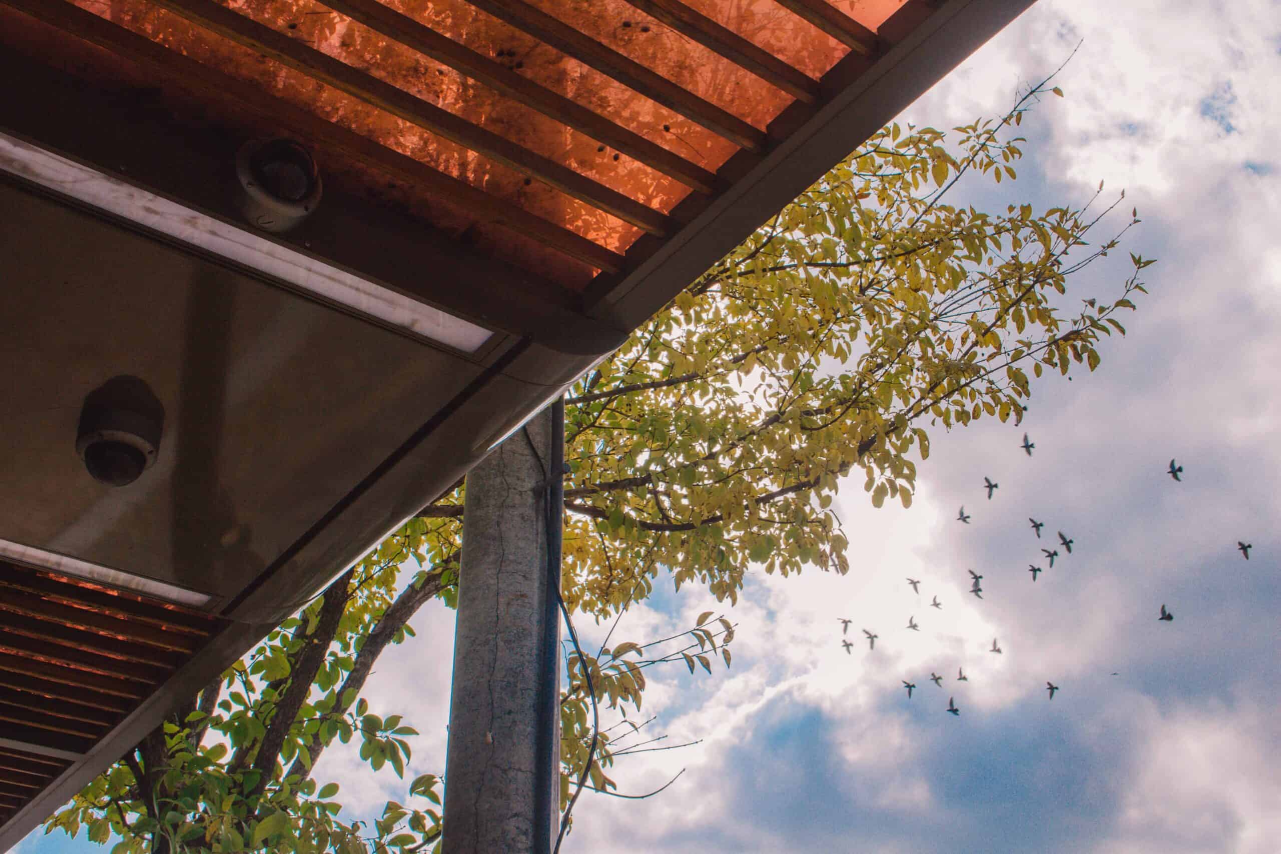 PÉRGOLAS | Design593 Diseño de Interiores en Quito